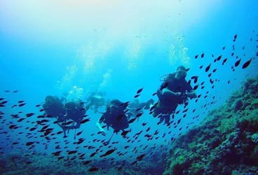Discover Scuba with Norway Dive